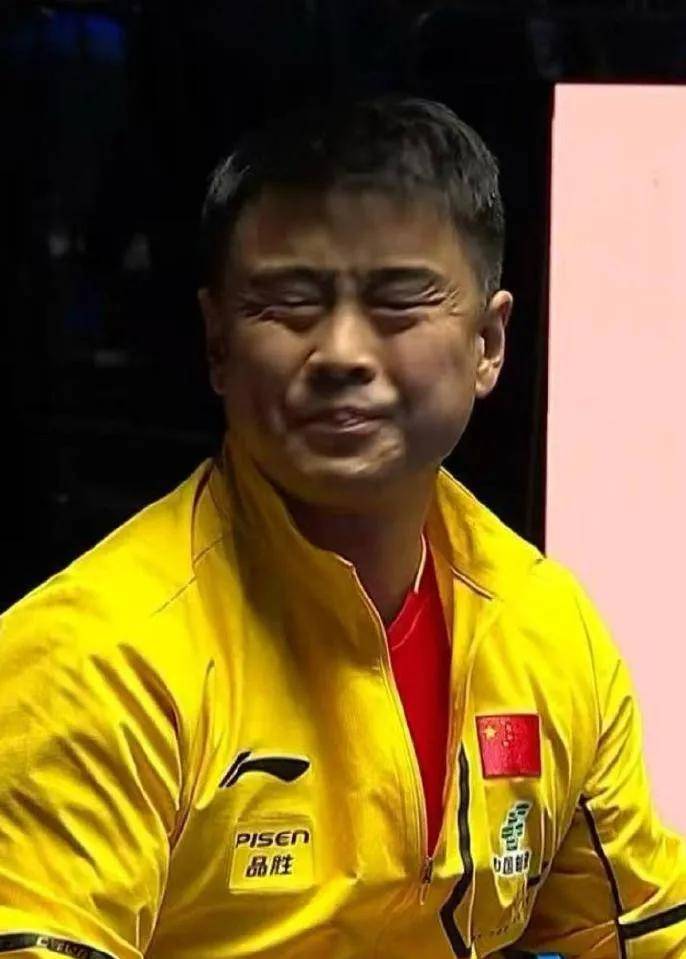 法国乒乓球队翻盘瑞典乒乓球队,王皓高光表现 法国乒乓球队翻盘瑞典乒乓球队,王皓高光表现