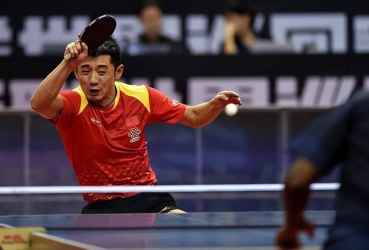 奥地利队逆转波兰队,张继科高光表现的简单介绍 奥地利队逆转波兰队,张继科高光表现的简单介绍