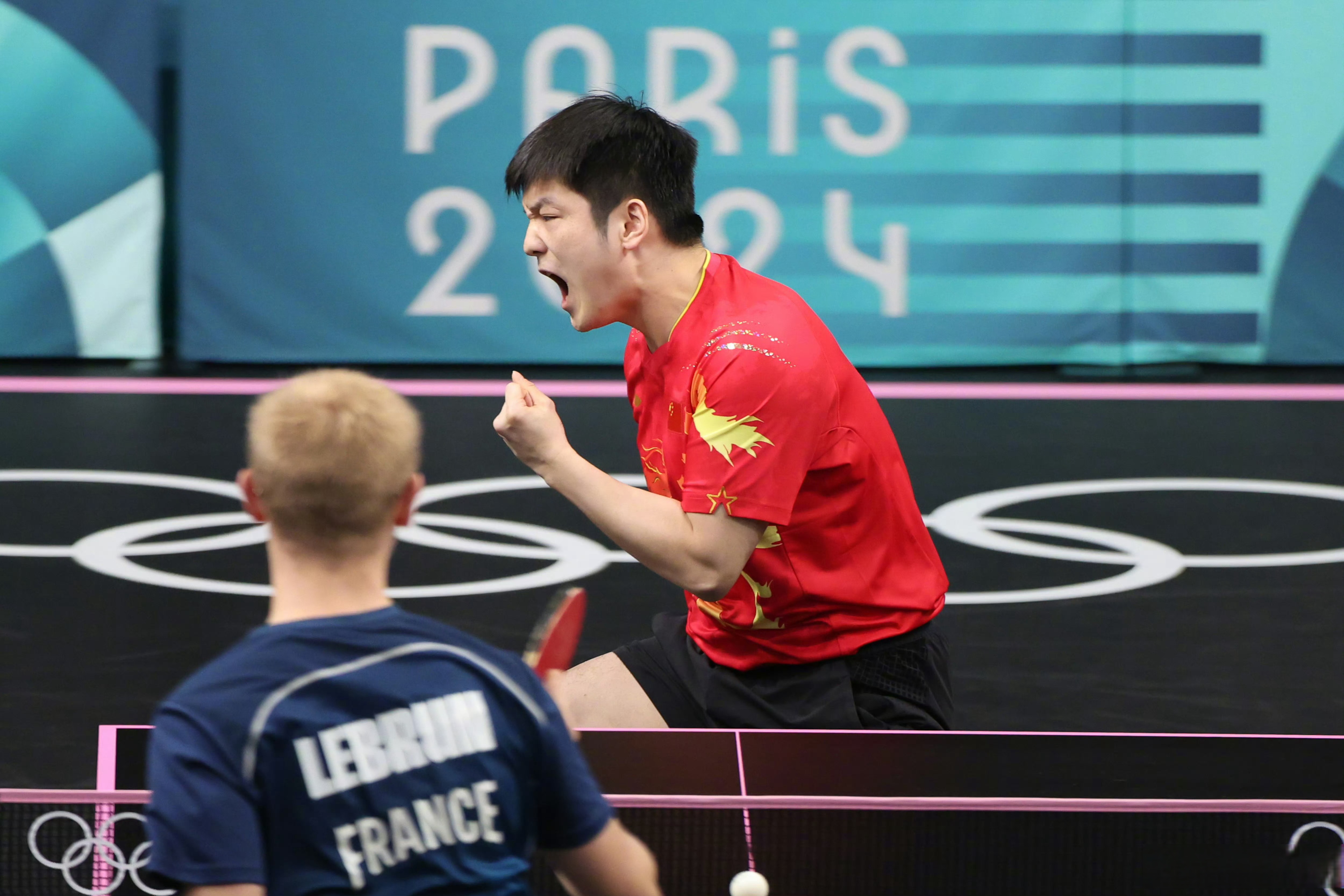 包含奥地利队鏖战波兰队，樊振东状态火热的词条