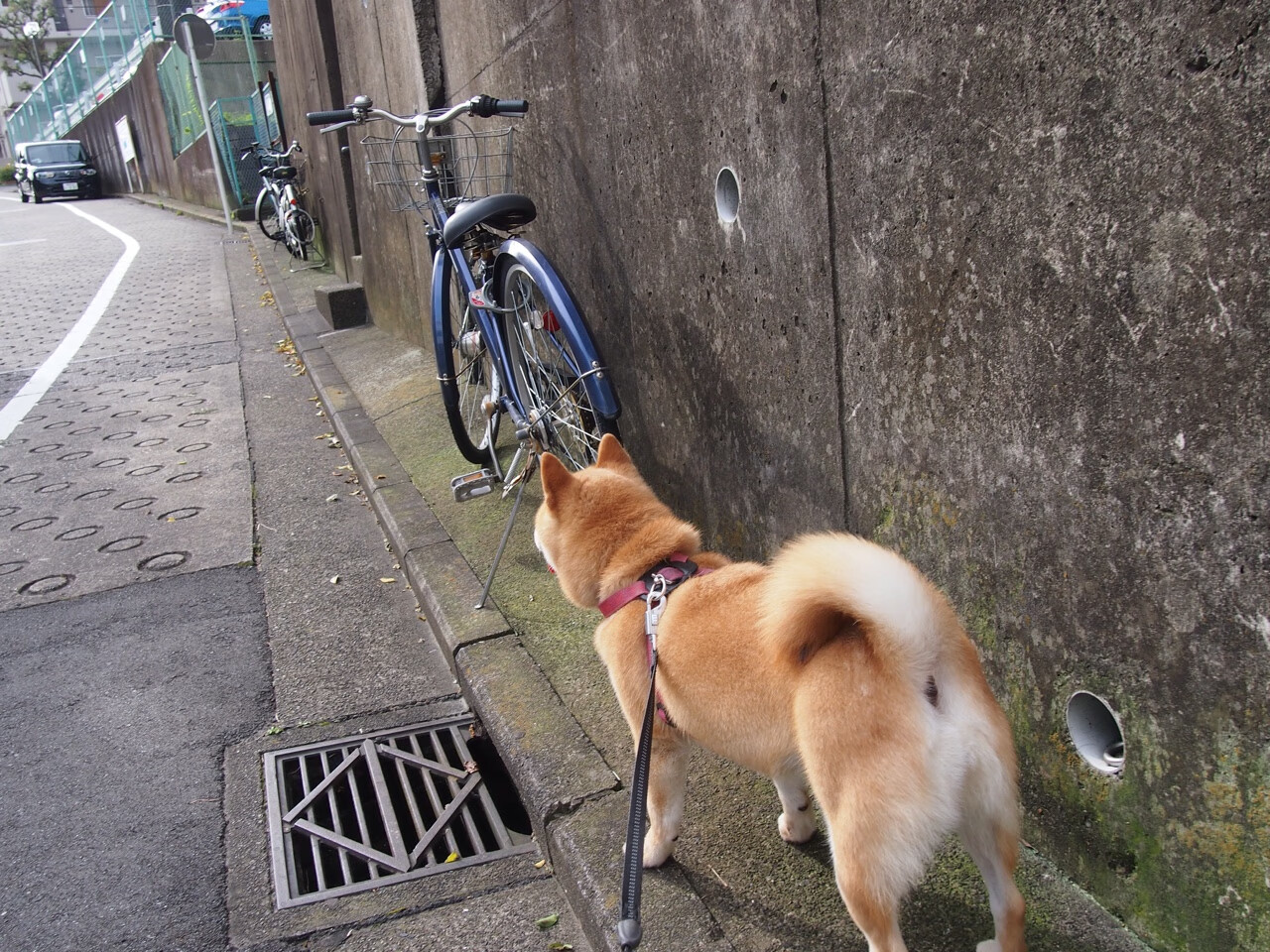 赵继伟封神夜！24+11导演20分惊天逆转，篮网末节风暴吞噬山西