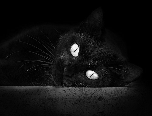 穿过时空的致胜分，当蒙特卡洛红土点燃拉沃尔杯的战魂