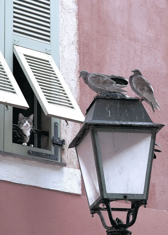 红土之王的硬地诗篇，蒙特卡洛绝境逢生，伦敦逆写永恒传奇