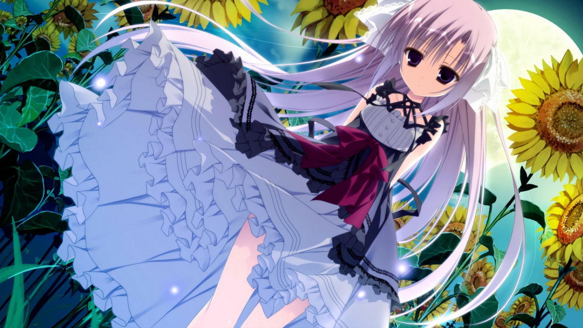 永恒一瞬，双生传奇