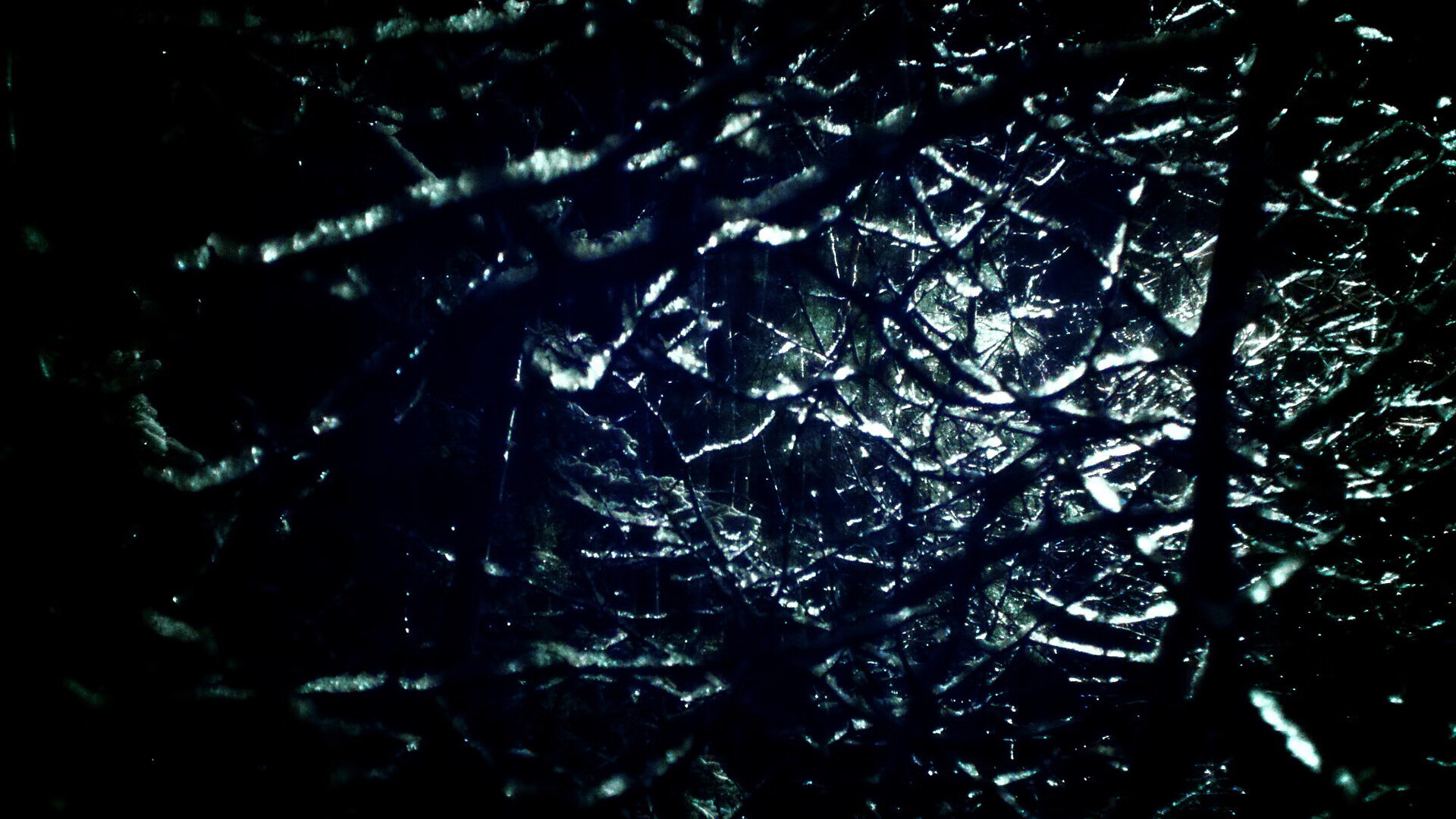 速度与团队，从F1揭幕战的火星撞地球，到马刺踏平骑士的战术交响乐