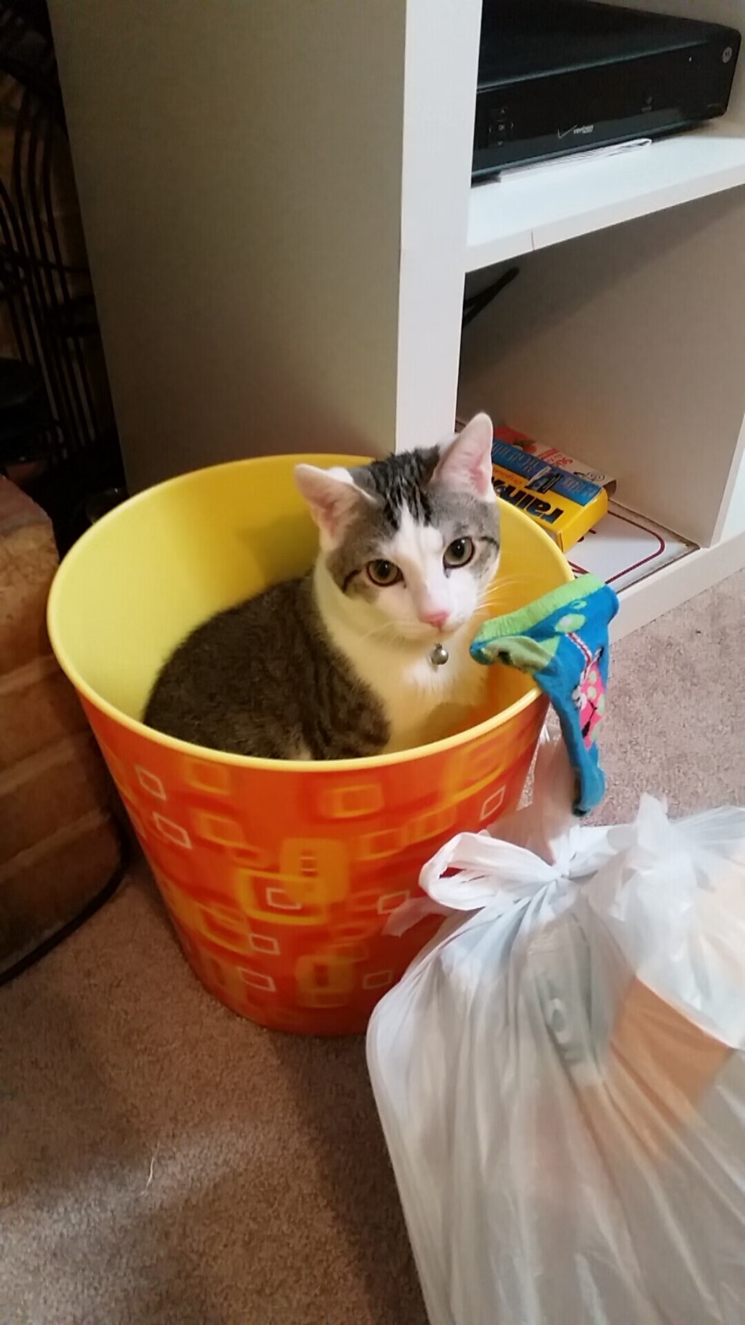 双星耀京华,霍勒迪导演逆转,太阳三分雨压制北京反扑