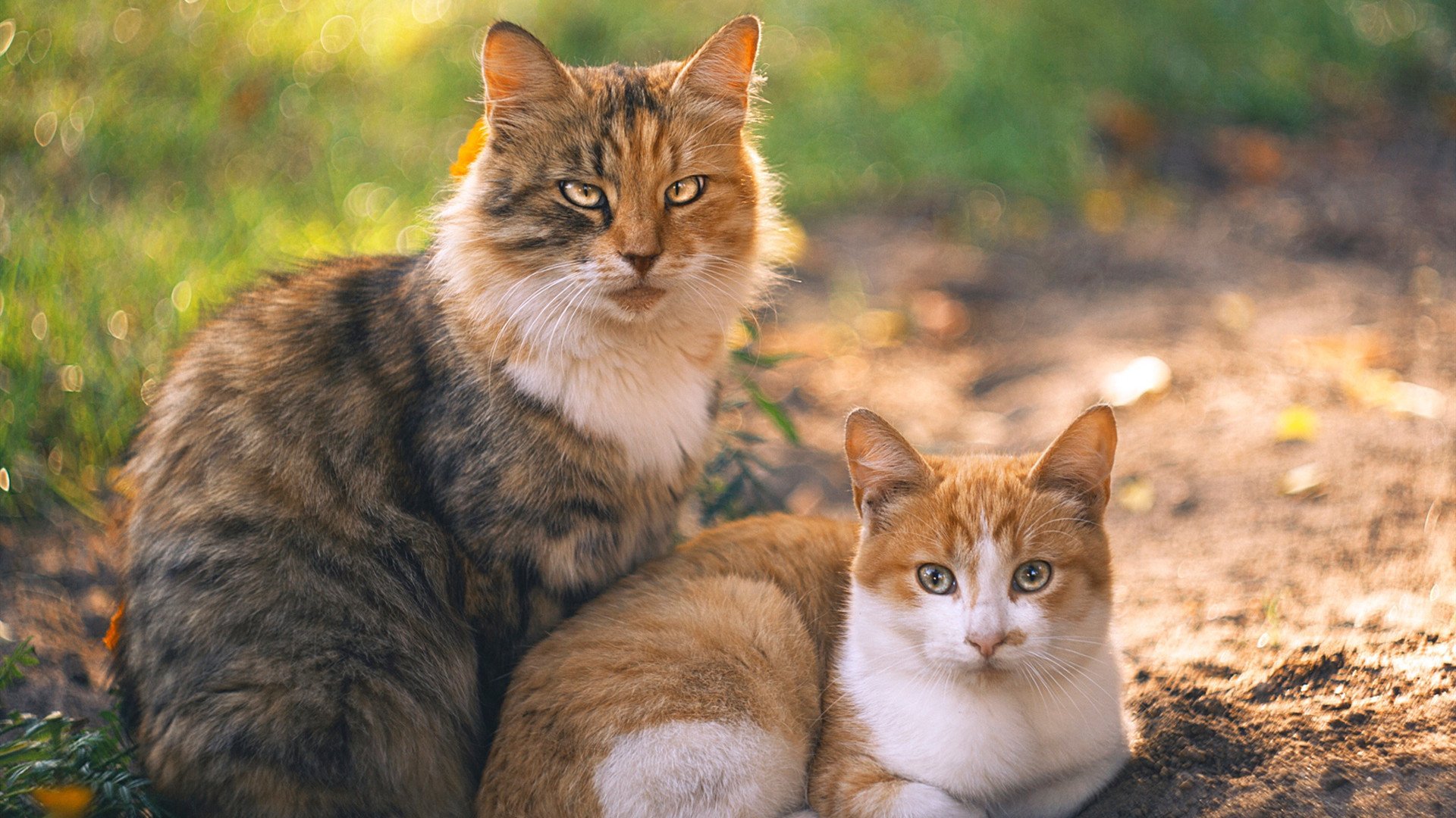 盾的两种形状,从巴拉圭锁死米兰,到门迪接管奥运关键战