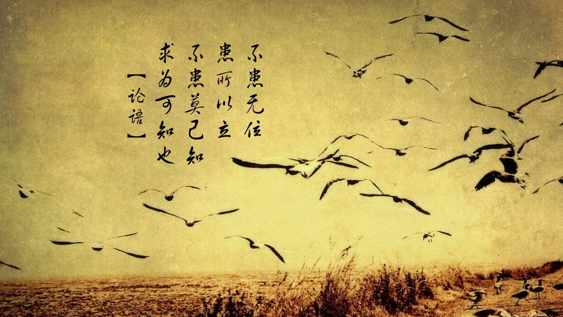 时空裂隙中的荣耀,当吉林队站上NBA总决赛舞台