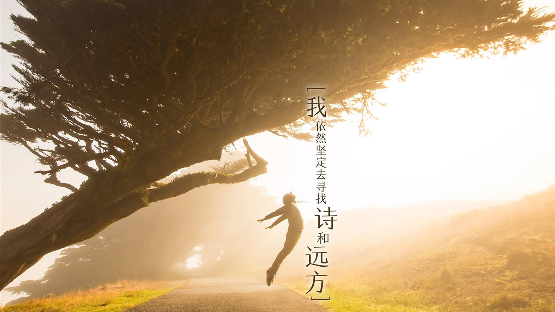 混凝土蓝图,当广厦用迈阿密的砖石封存传奇