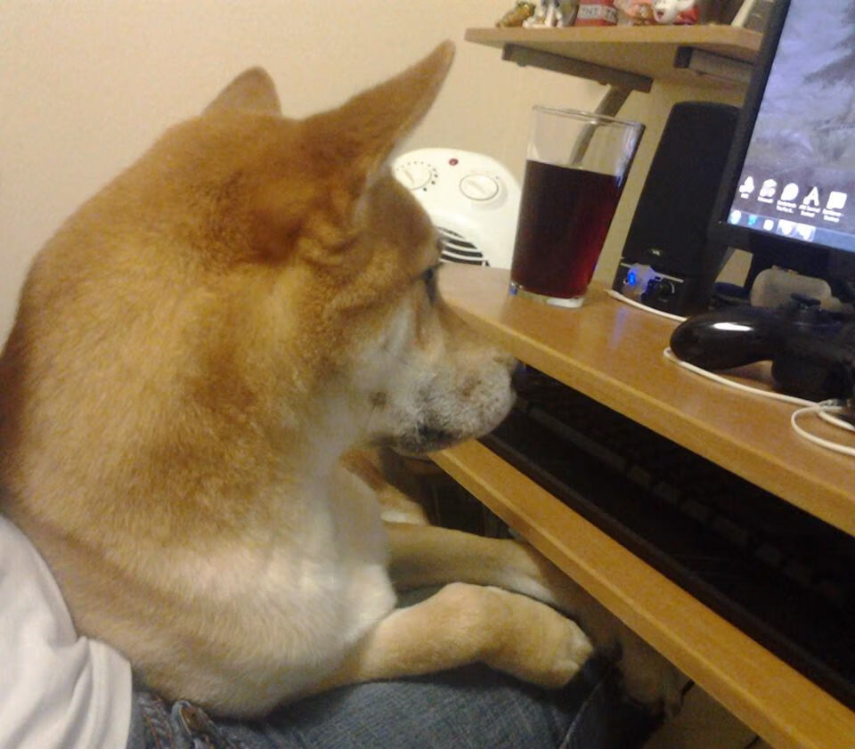 赛场风云，卡拉斯科一锤定音，中国足球踏平波兰客场