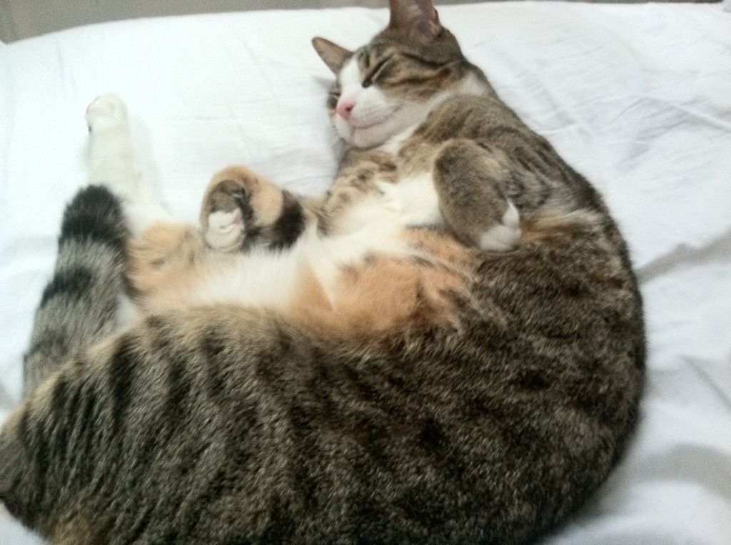 东瀛妖刀出鞘！久保建英梦幻舞步撕裂欧洲红魔，巴拉圭末节风暴震惊世界