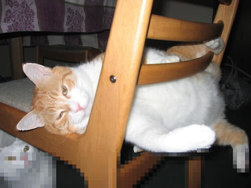 孤注一掷的最后一秒，当欧文的关键球点燃上海滩的倔强