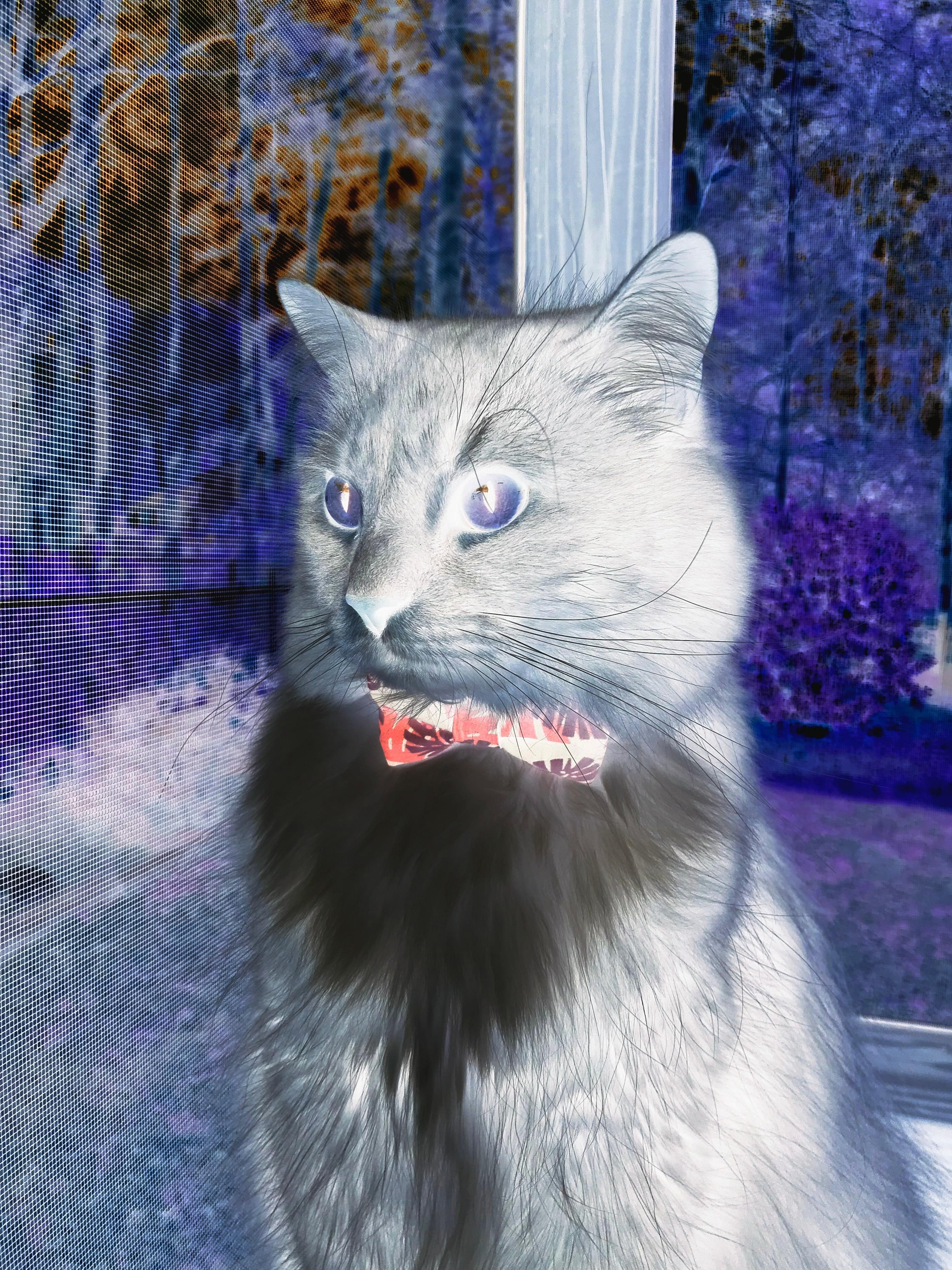 魔术师的利刃,欧文东决关键战演绎单骑救主