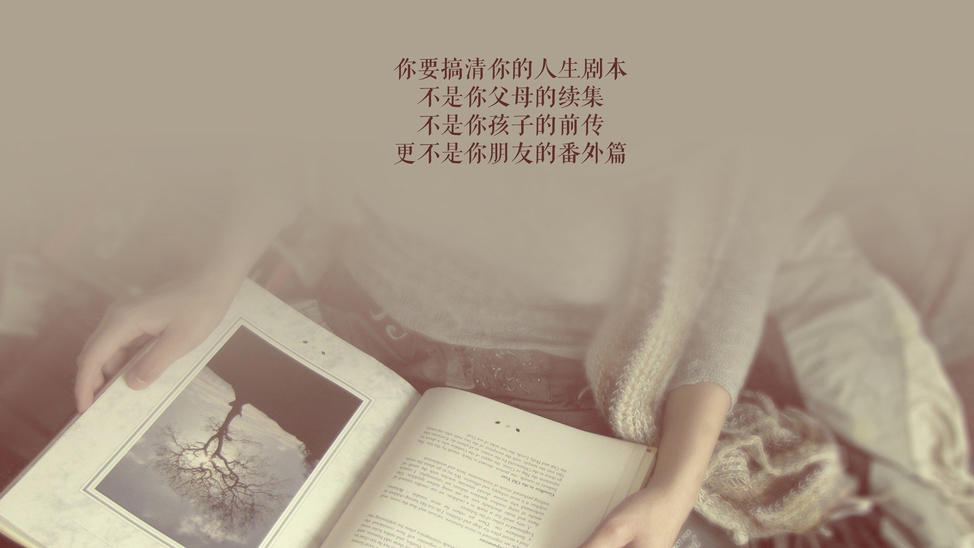 平行时空的对决，当辽宁的清晨遇见密尔沃基的黄昏