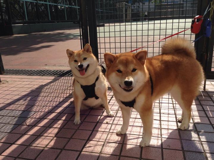 厄瓜多尔狂胜雷恩，姆巴佩神勇带动全队节奏