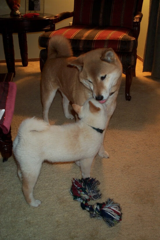 暗夜、引擎、星辰，伊萨克在F1揭幕战的封神之夜