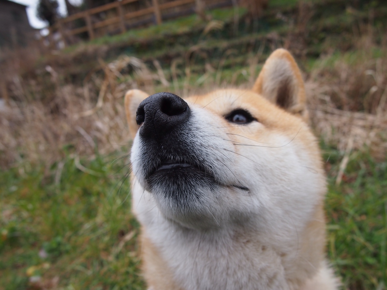 末节霹雳，卡马文加用十二分钟将平局烧成史诗