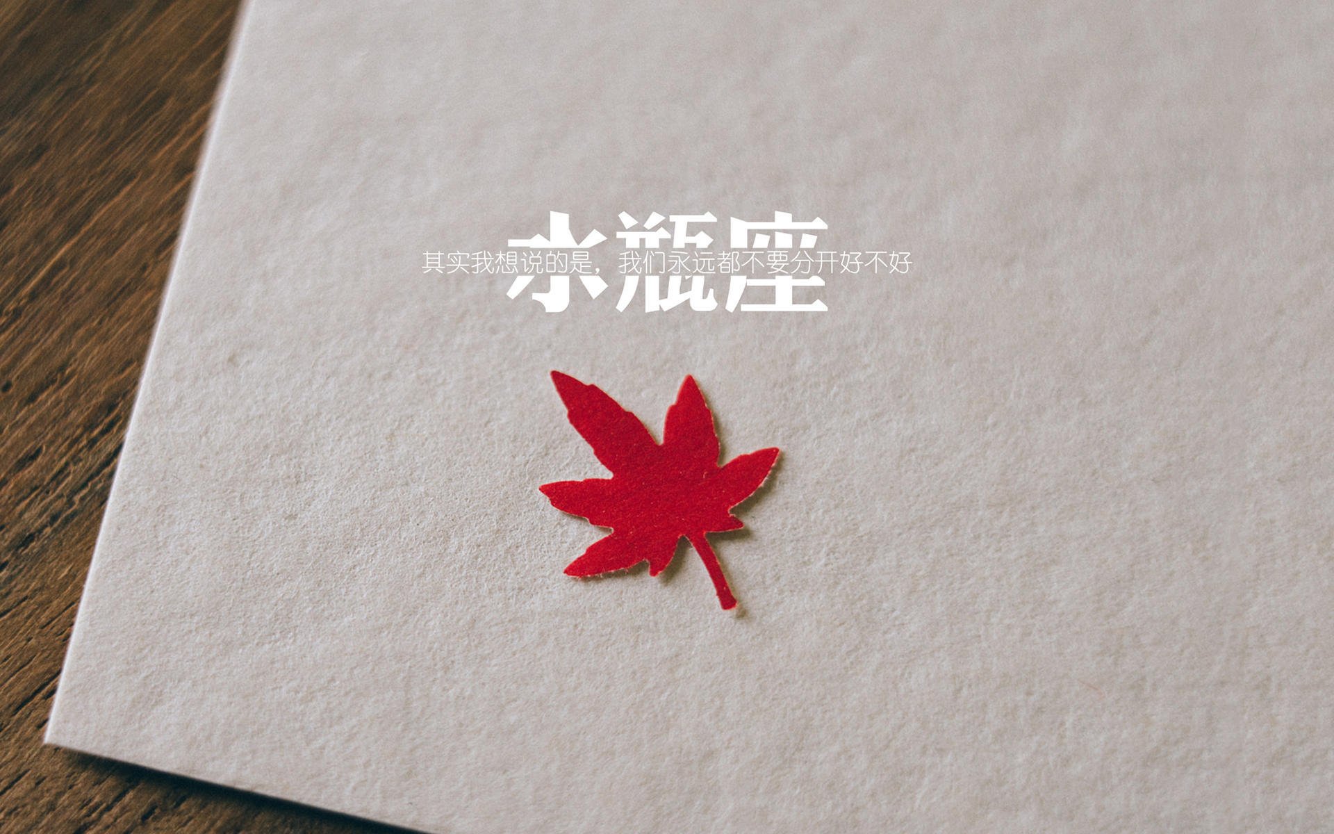 勒沃库森沙特制霸传奇，本泽马关键先生闪耀东方赛场