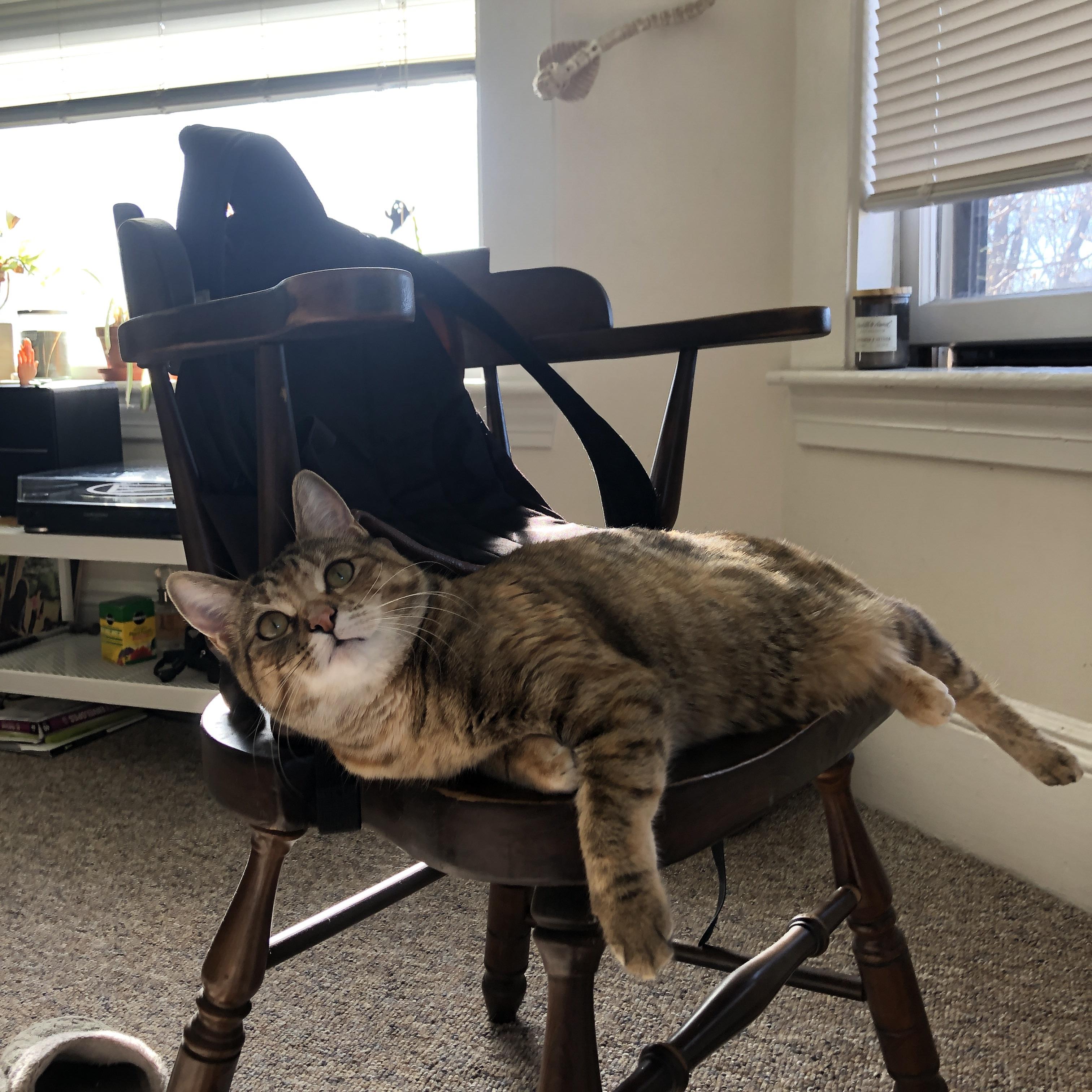 赖斯法则，一粒爆射改写沙特的沙漠法则