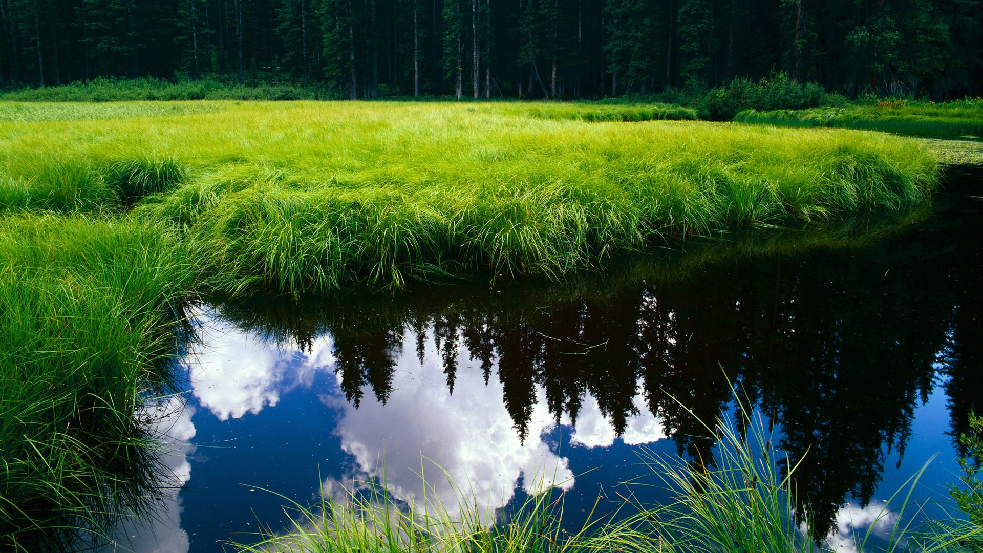 洲际杯巅峰战，莱奥单骑定江山，澳大利亚铁血晋级会师亚特兰大